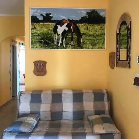 Vacanze Tavolara * Olbia